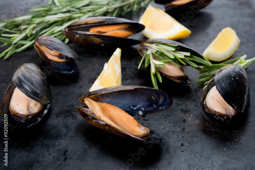 Canvas Print Fresh crude seafood. Mussels in a cockleshell
