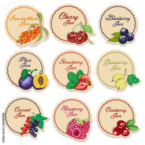 Set of isolated labels for jam from berries
