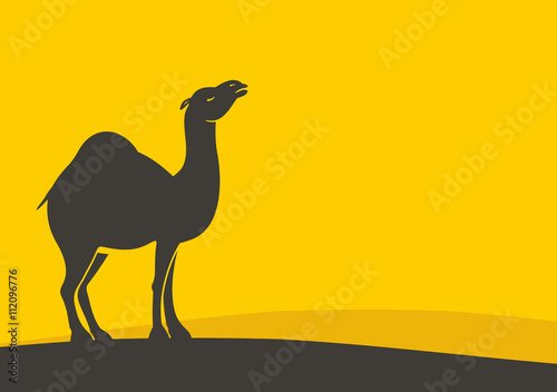 Camel 