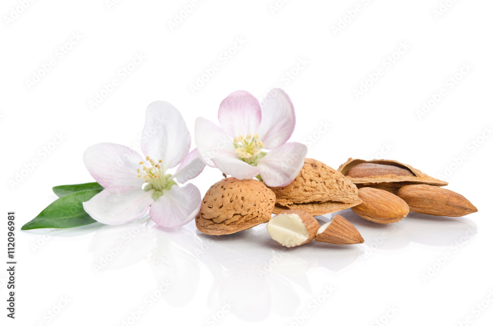 Almonds with leaves and flowers close up on the white background