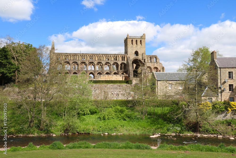 Jedburgh, Abtei Ruine, Schottland - obrazy, fototapety, plakaty 