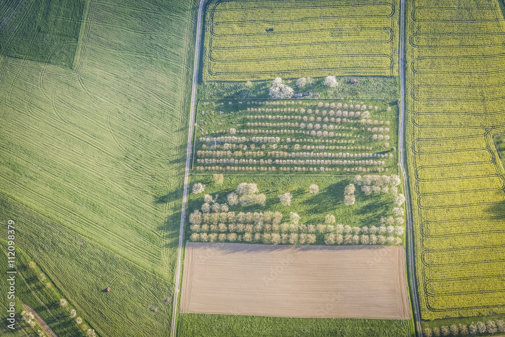 Fototapeta premium cherry blossom ballooning, fränkische schweiz, oberfranken, bayern