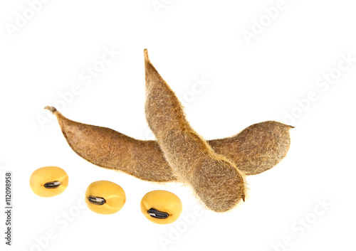 Soybean pods isolated on white background. Soya - protein plant
