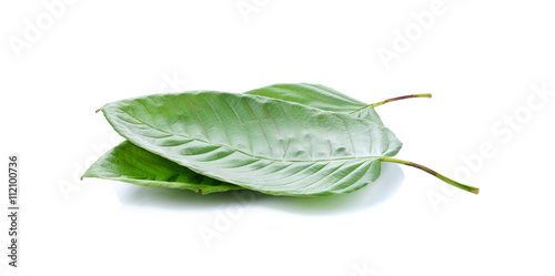 mitragyna speciosa korth (kratom) a drug from plant to a categor
