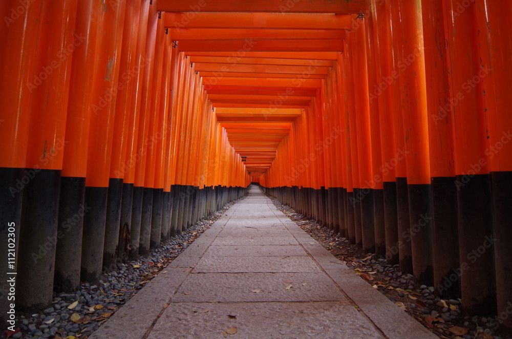 Fototapeta premium 早朝の伏見稲荷大社千本鳥居