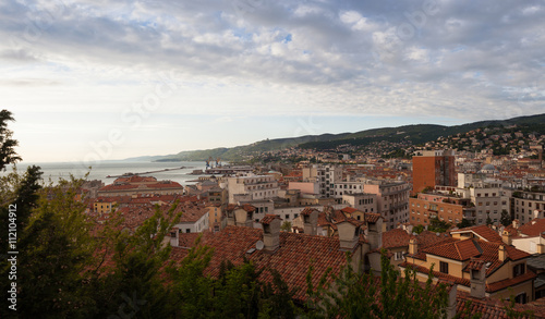 View of Trieste roofs