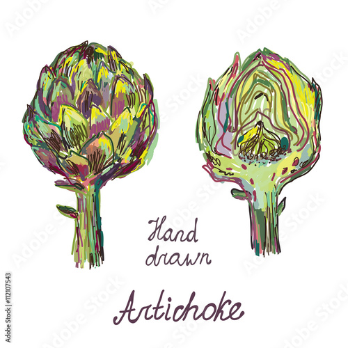 Artichoke hand drawn card set, artistic design