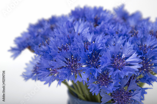 blue cornflowers on a old white wooden background