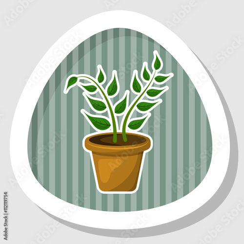 Indoor plant colorful icon