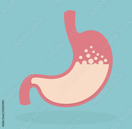 Stomach icon. Flat style