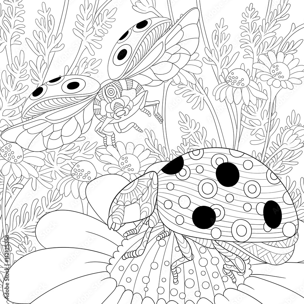 Fototapeta premium Zentangle stylized cartoon flying ladybugs and daisy flowers. Hand drawn sketch for adult antistress coloring page, T-shirt emblem, logo or tattoo with doodle, zentangle, floral design elements.