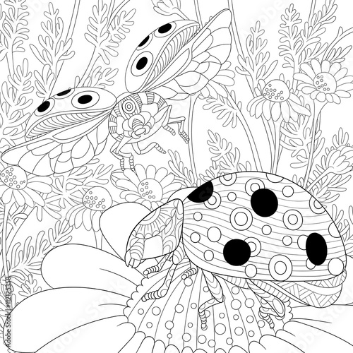 Zentangle stylized cartoon flying ladybugs and daisy flowers. Hand drawn sketch for adult antistress coloring page, T-shirt emblem, logo or tattoo with doodle, zentangle, floral design elements.