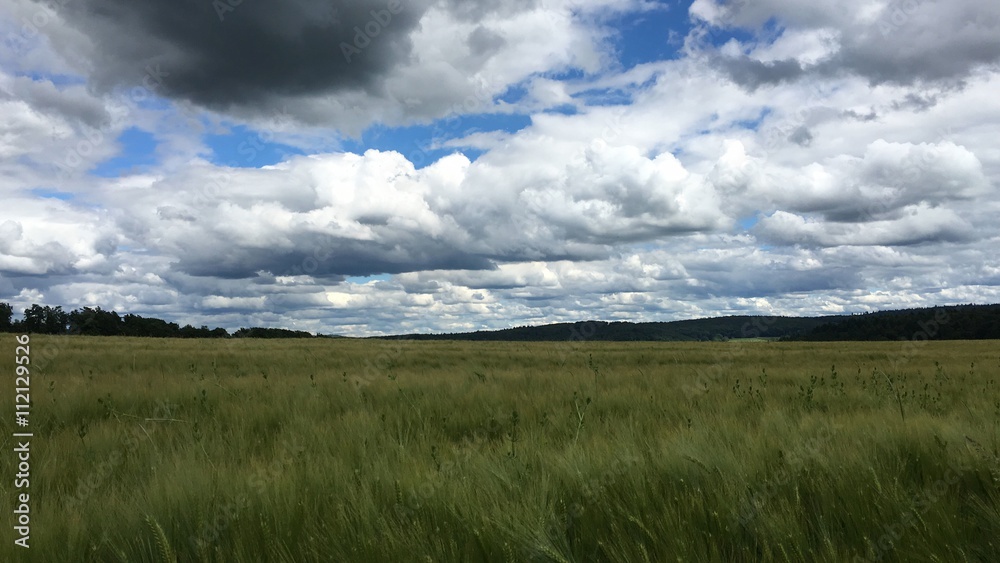 Gerstenfeld Gerstenfeld