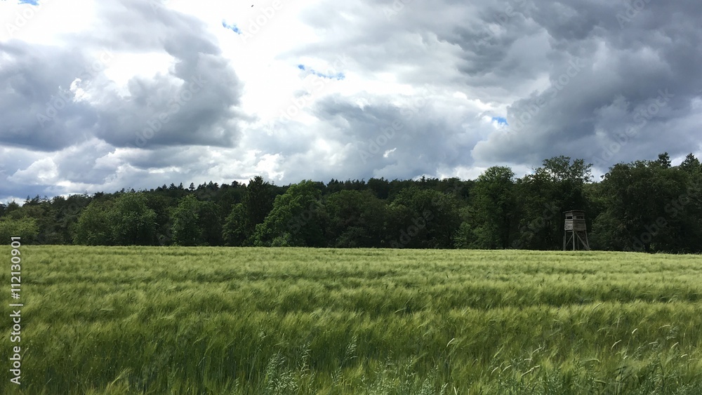 Obraz premium Hochsitz