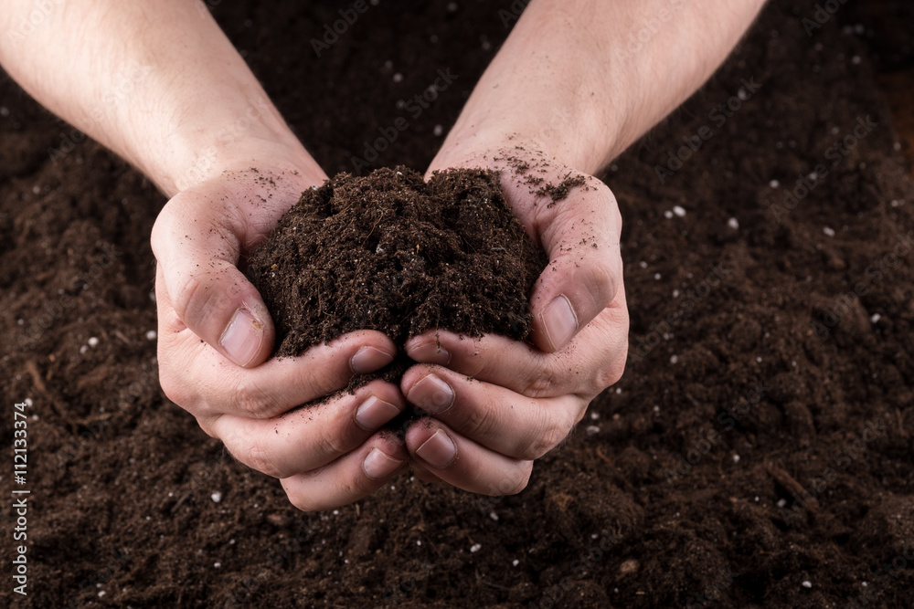 Soil in hands Soil in hands