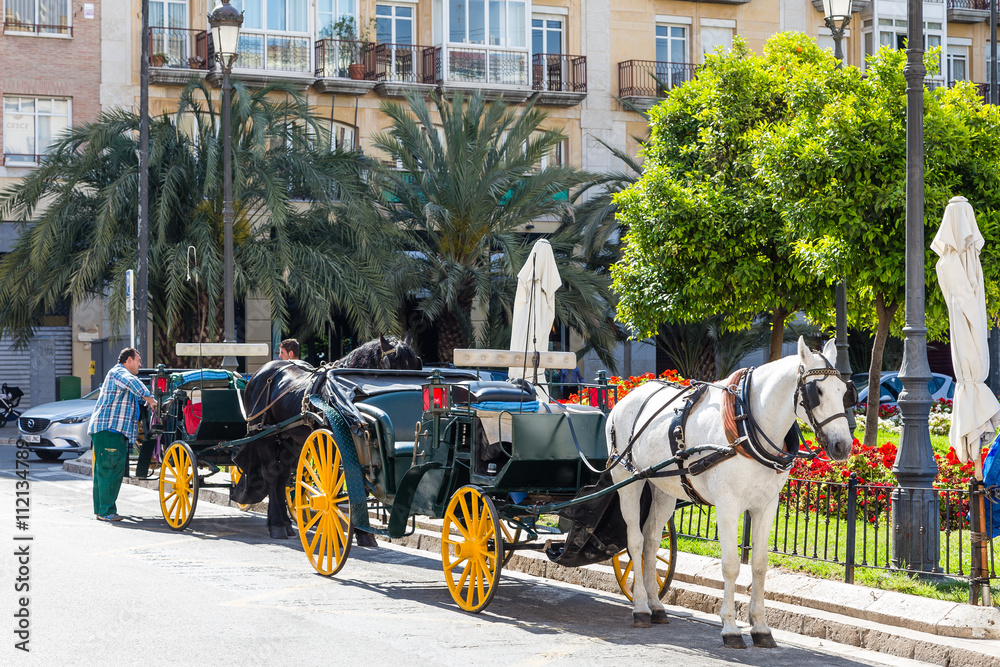 Horse carriage in the city of Valencia, Spain
