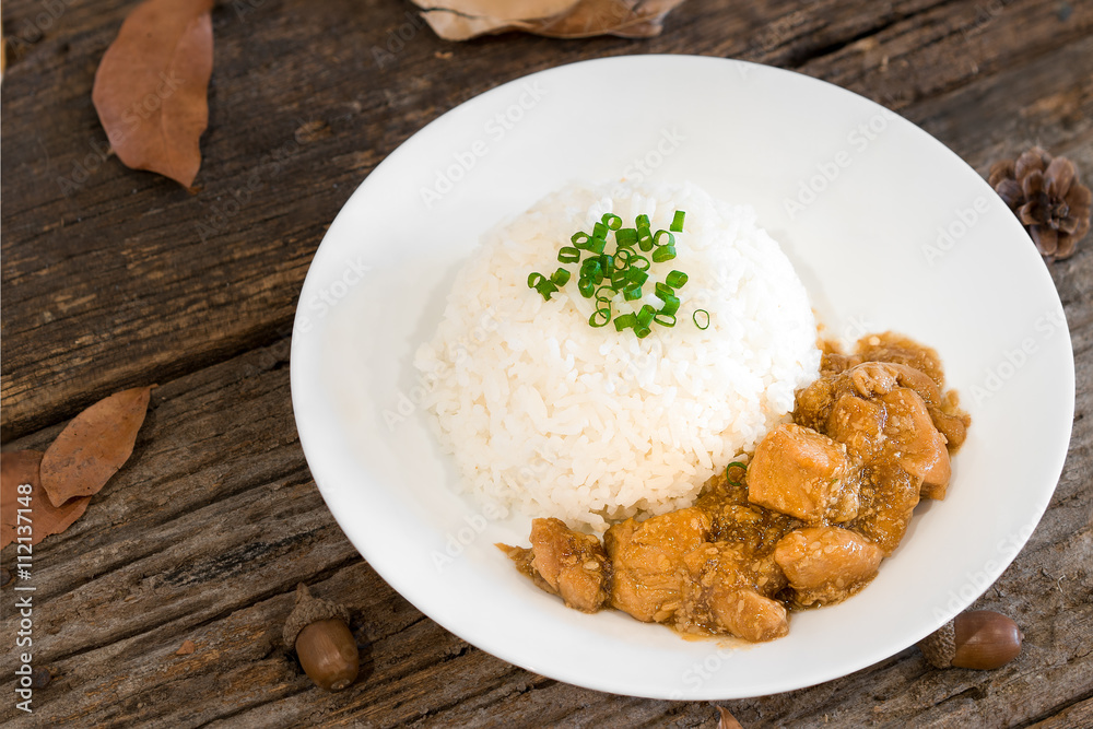 rice with chicken in gravy suace rice with chicken in gravy suace