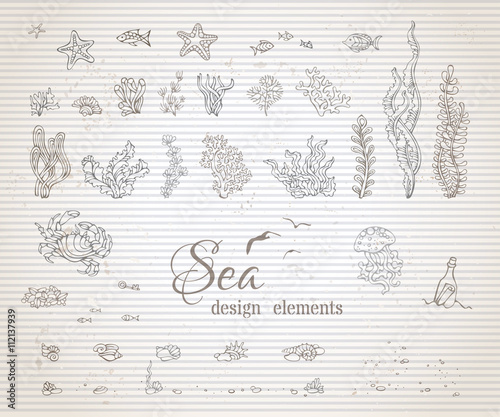 Vector set of vintage sea life design elements.