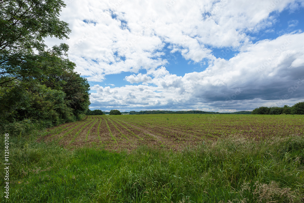 Fototapeta premium Marvelous View on Farmingland