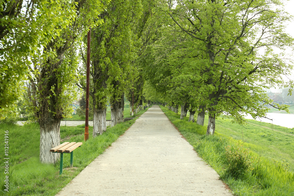 Footpath in a green park