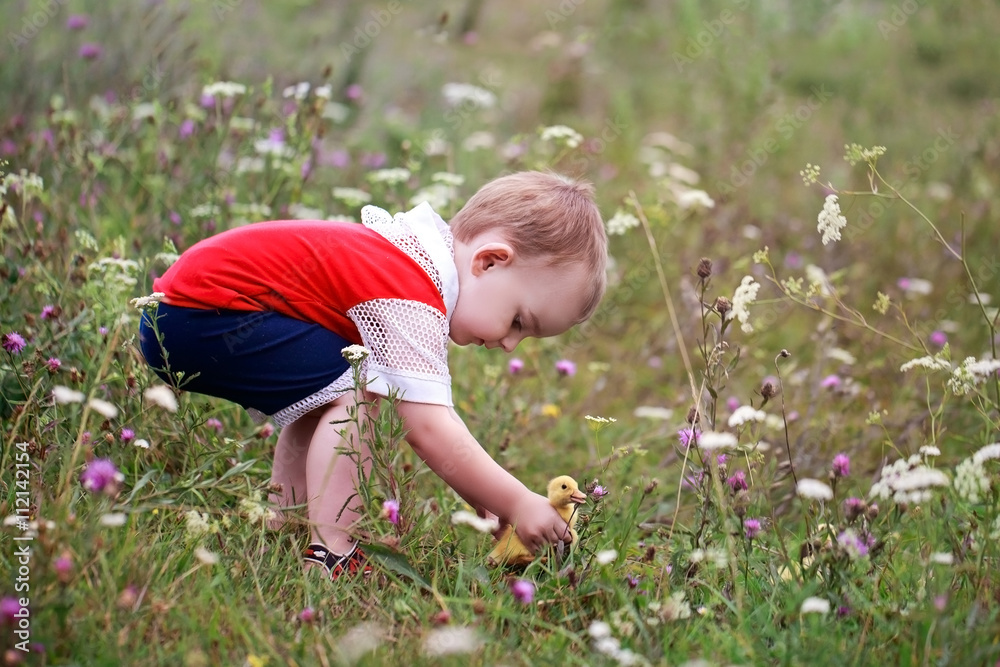 Little boy catches duckling in the grass. Little boy catches duckling in the grass.