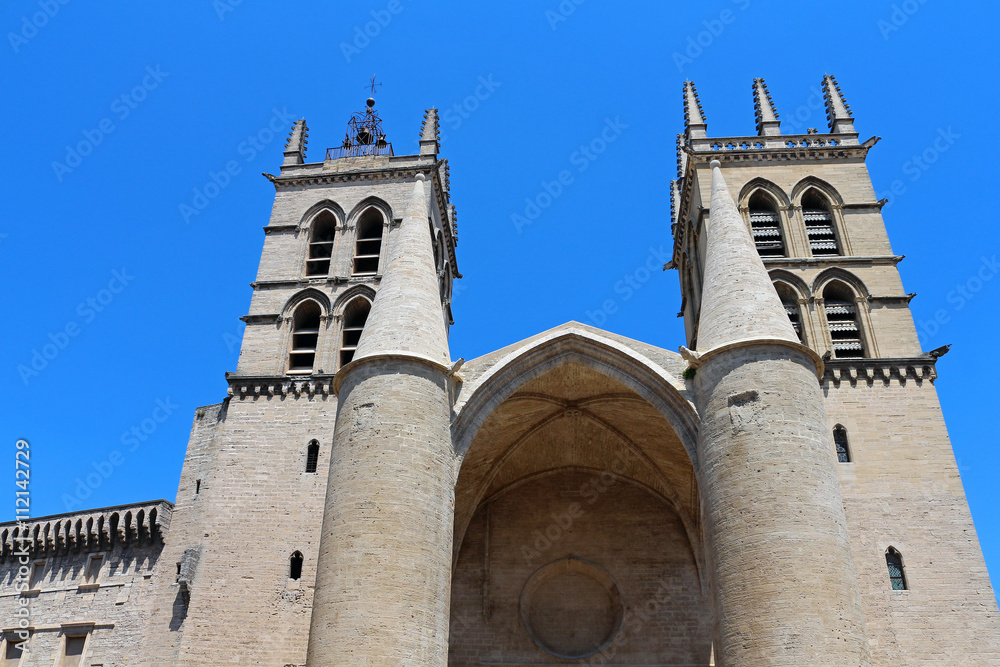 Cathédrale Saint Pierre de Montpellier