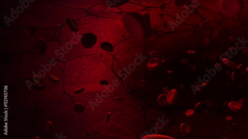 Red blood cell in artery.