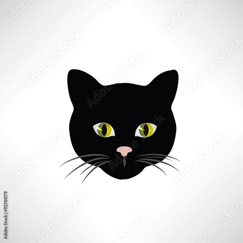 Canvas Print Cat. Wild cats face isolated. Pet design element