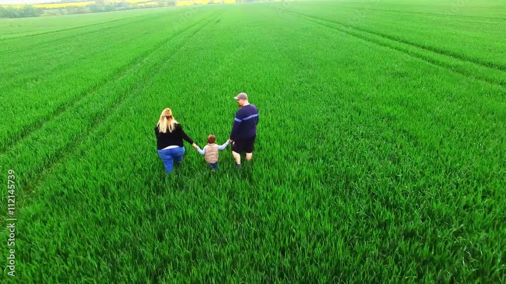 Aerial view of overweight parents with her son walking together on green fields. Healthy lifestyle, slimming and outdoor sport. Family enjoying life on countryside. People from drone. Aerial view of overweight parents with her son walking together on green fields. Healthy lifestyle, slimming and outdoor sport. Family enjoying life on countryside. People from drone.