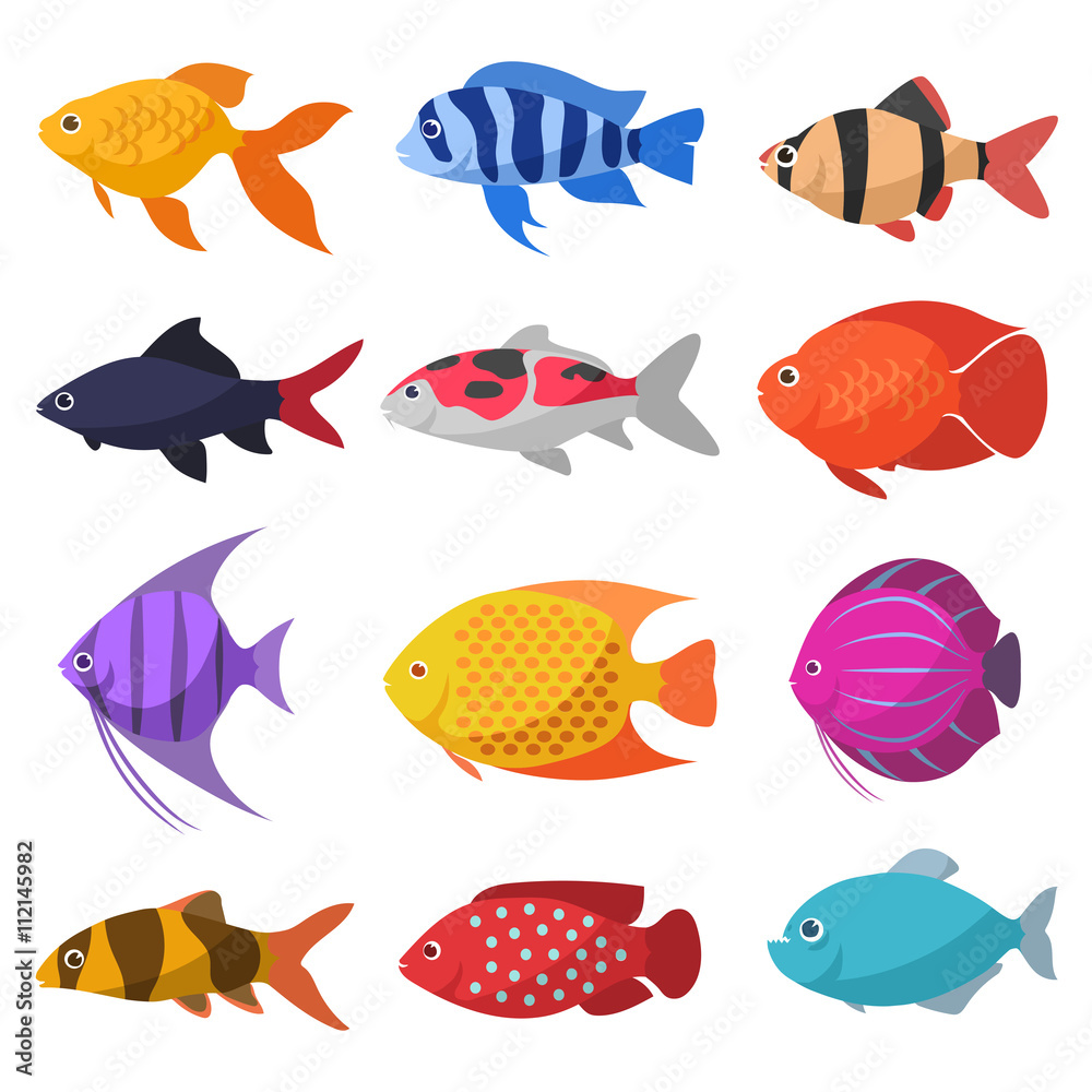 Isolated river fish. Set of freshwater aquarium cartoon fishes. varieties of ornamental popular color fish. Flat design fish. Cartoon vector design illustration.