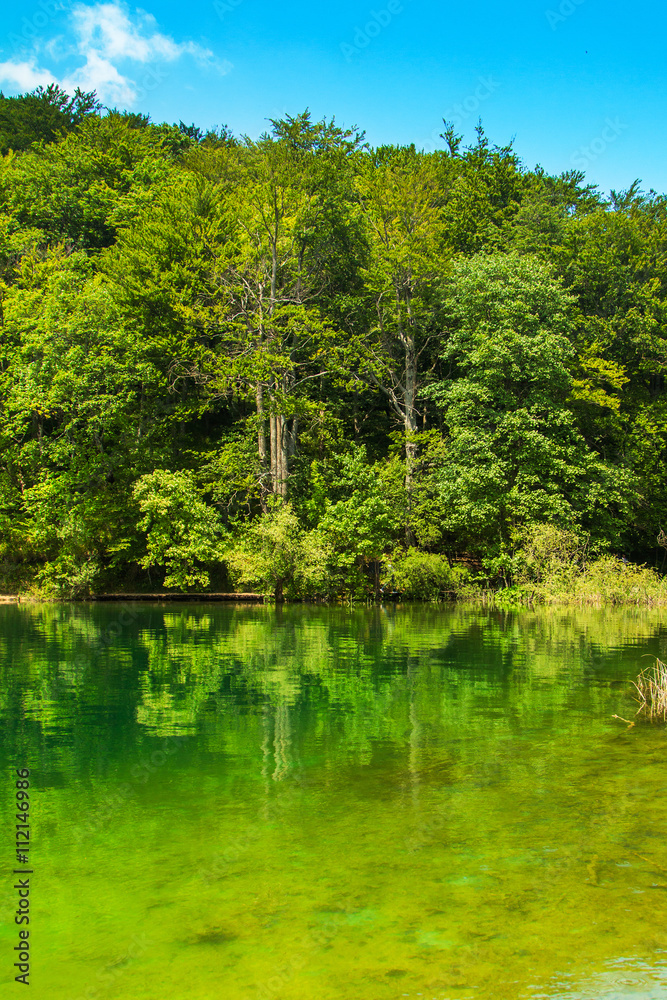Beautiful landscape, clear green water in the Plitvice Lakes National Park in Croatia Beautiful landscape, clear green water in the Plitvice Lakes National Park in Croatia