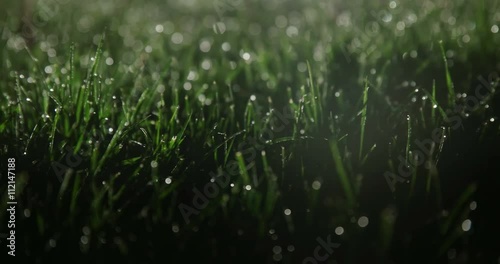 Wet grass at night on soccer field lit from behind