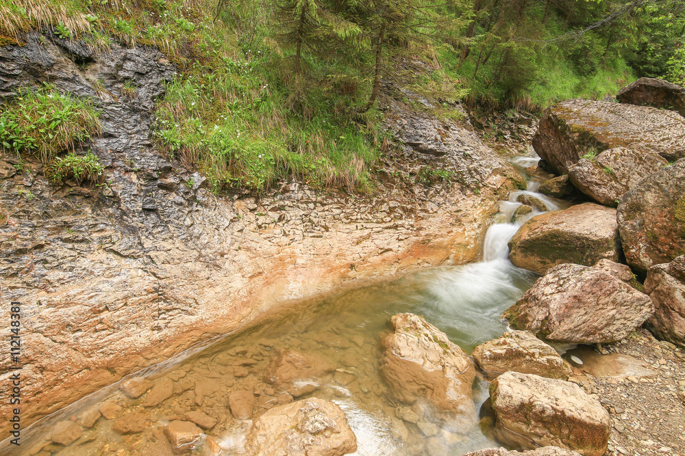 Fototapeta premium Mały wodospad w górach / Pieniński Park Narodowy