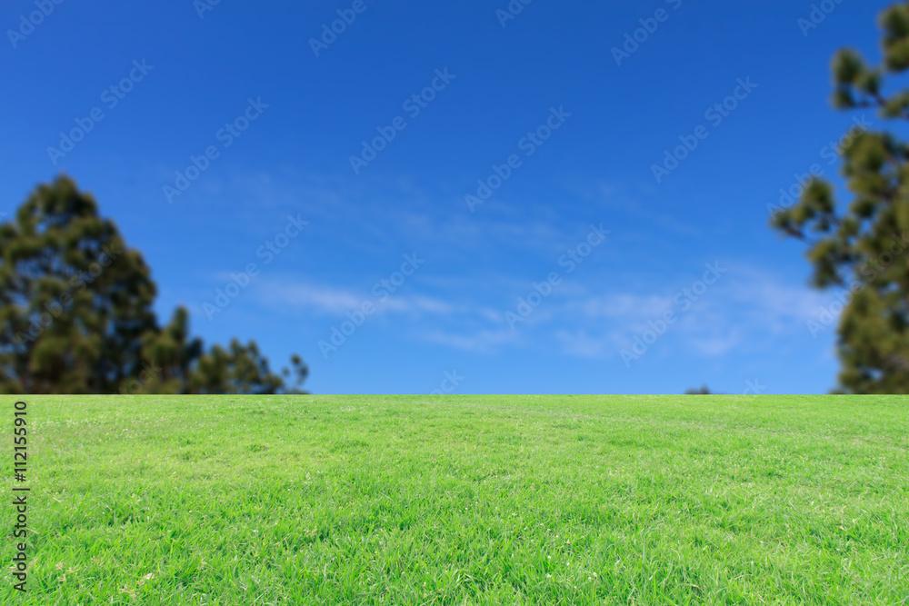 Obraz premium The landscap background retouch vintage style in nature