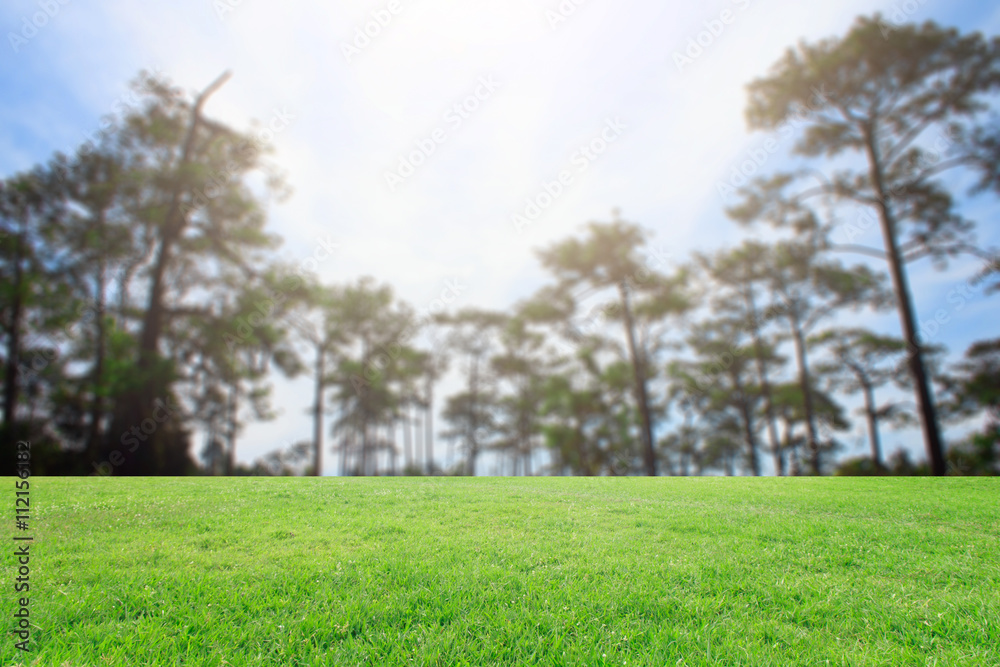 Obraz premium The landscap background retouch vintage style in nature