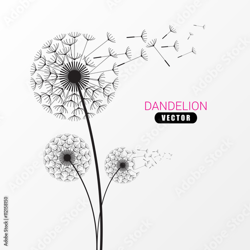 Fototapeta Naklejka Na Ścianę i Meble -  Dandelion silhouette. Flying dandelion buds. Modern design. Vector
