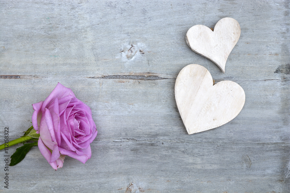 Fototapeta premium Pink purple rose on a grey old wooden background with white wash heart shape tags with empty copy space 