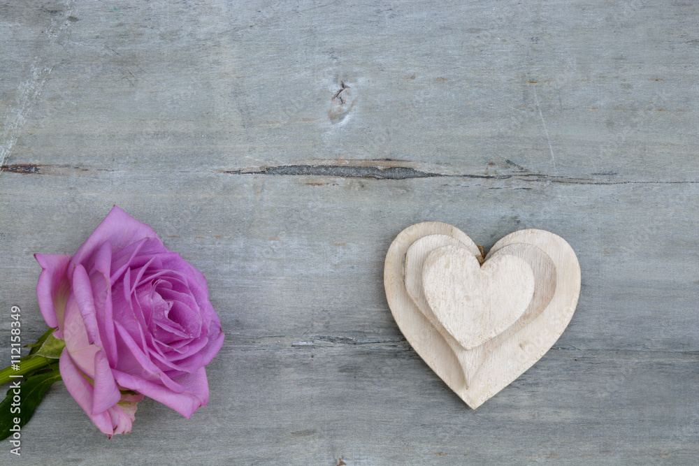 Fototapeta premium Pink purple rose on a grey old wooden background with white wash heart shape tags with empty copy space 