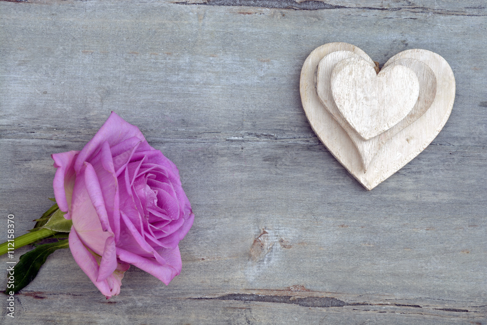 Fototapeta premium Pink purple rose on a grey old wooden background with white wash heart shape tags with empty copy space 