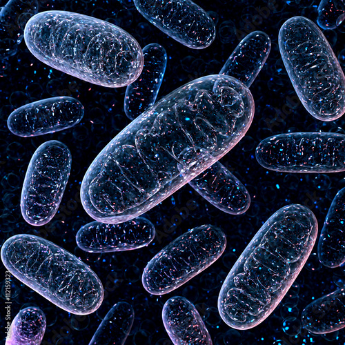 Mitochondria on a dark blue background. 3d illustration photo