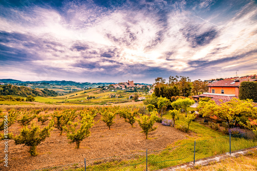 cultivated fields dominated by Castle photo