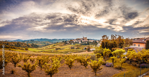 cultivated fields dominated by Castle photo