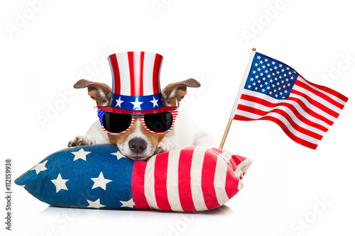 4th of july independence day dog