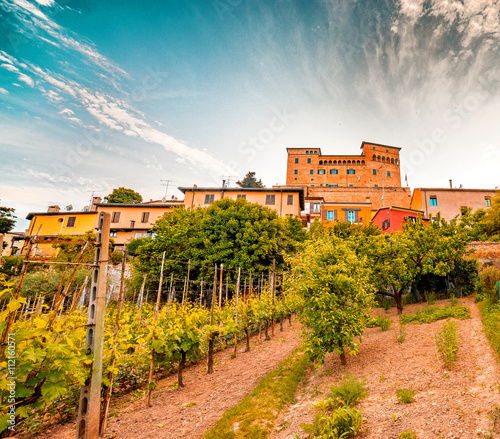 cultivated fields under the castle photo