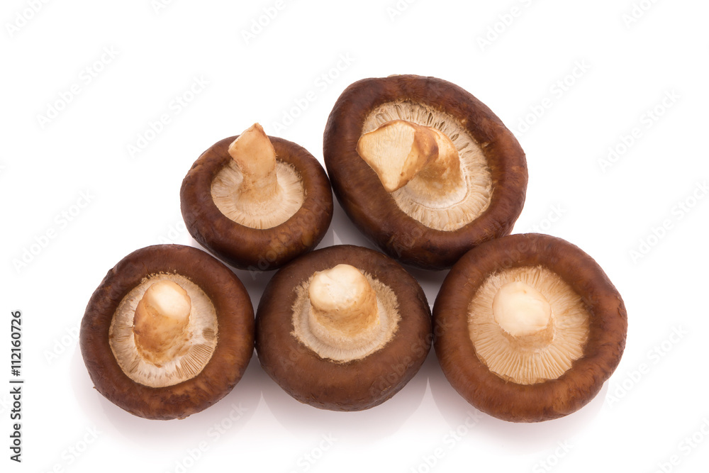 Shiitake Mushrooms isolated on the white background