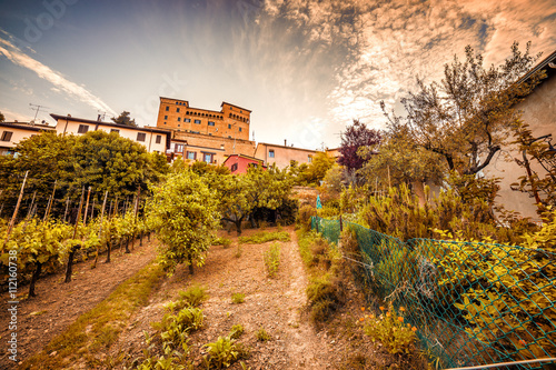 cultivated fields under the castle photo