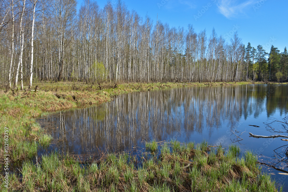 Obraz premium Water spring landscape.