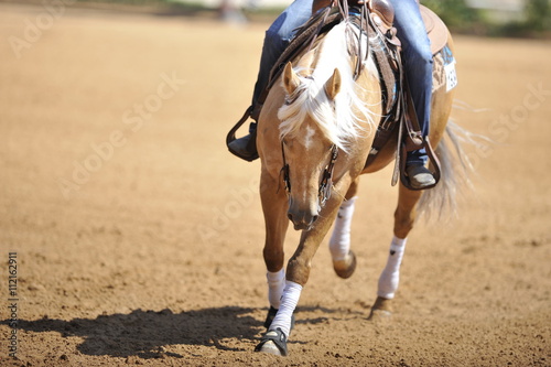 The rider on horseback galloping ahead © PROMA