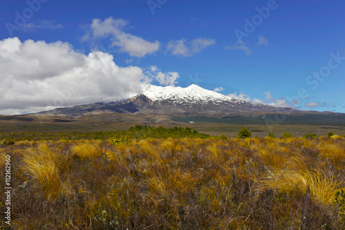 Fototapeta Naklejka Na Ścianę i Meble -  Mt. Ruapehu