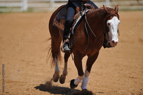 The front view of rider on horseback galloping ahead © PROMA